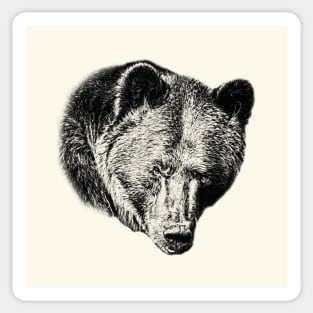 Brown bear Sticker